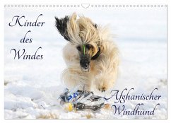 Kinder des Windes - Afghanischer Windhund (Wandkalender 2024 DIN A3 quer), CALVENDO Monatskalender