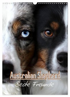 Australian Shepherd - Beste Freunde (Wandkalender 2024 DIN A3 hoch), CALVENDO Monatskalender