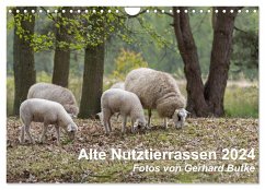 Alte Nutztierrassen 2024 (Wandkalender 2024 DIN A4 quer), CALVENDO Monatskalender - Butke, Gerhard