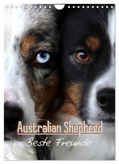 Australian Shepherd - Beste Freunde (Wandkalender 2024 DIN A4 hoch), CALVENDO Monatskalender