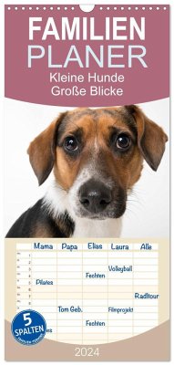 Familienplaner 2024 - Kleine Hunde - Große Blicke mit 5 Spalten (Wandkalender, 21 x 45 cm) CALVENDO