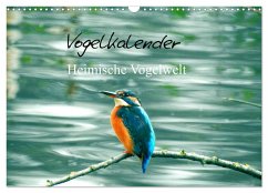 Vogelkalender (Wandkalender 2024 DIN A3 quer), CALVENDO Monatskalender