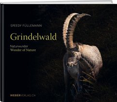 Grindelwald - Füllemann, Speedy