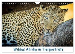 Wildes Afrika in Tierporträts (Wandkalender 2024 DIN A4 quer), CALVENDO 