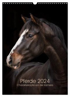 Pferde 2024 - Charakterköpfe vor der Kamera (Wandkalender 2024 DIN A3 hoch), CALVENDO Monatskalender - Müller, Paula