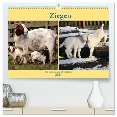 Ziegen - Die Stars aus dem Streichelzoo (hochwertiger Premium Wandkalender 2024 DIN A2 quer), Kunstdruck in Hochglanz