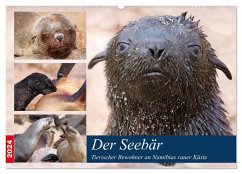 Der Seebär 2024 (Wandkalender 2024 DIN A2 quer), CALVENDO Monatskalender
