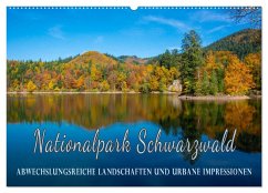 Nationalpark Schwarzwald ¿ abwechslungsreiche Landschaften und urbane Impressionen (Wandkalender 2024 DIN A2 quer), CALVENDO Monatskalender
