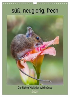 Die kleine Welt der Wildmäuse (Wandkalender 2024 DIN A3 hoch), CALVENDO Monatskalender