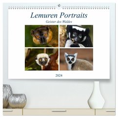 Lemuren Portraits (hochwertiger Premium Wandkalender 2024 DIN A2 quer), Kunstdruck in Hochglanz