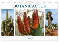 BOTANICACTUS Mallorcas Kakteengarten (Wandkalender 2024 DIN A4 quer), CALVENDO Monatskalender