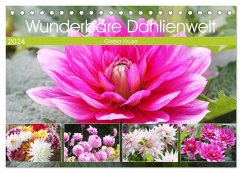 Wunderbare Dahlienwelt (Tischkalender 2024 DIN A5 quer), CALVENDO Monatskalender