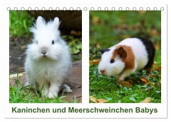 Kaninchen und Meerschweinchen Babys (Tischkalender 2024 DIN A5 quer), CALVENDO Monatskalender