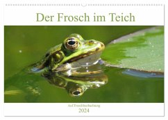 Der Frosch im Teich - auf Froschbeobachtung (Wandkalender 2024 DIN A2 quer), CALVENDO Monatskalender
