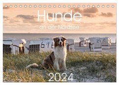 Hunde an der Nordsee (Tischkalender 2024 DIN A5 quer), CALVENDO Monatskalender - Bollich, Heidi
