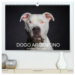 DOGO ARGENTINO (hochwertiger Premium Wandkalender 2024 DIN A2 quer), Kunstdruck in Hochglanz