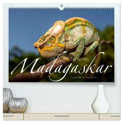 Tierisches Madagaskar (hochwertiger Premium Wandkalender 2024 DIN A2 quer), Kunstdruck in Hochglanz - Bruhn, Olaf