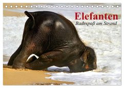 Elefanten. Badespaß am Strand (Tischkalender 2024 DIN A5 quer), CALVENDO Monatskalender