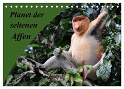 Planet der seltenen Affen (Tischkalender 2024 DIN A5 quer), CALVENDO Monatskalender