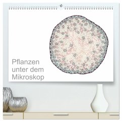 Pflanzen unter dem Mikroskop (hochwertiger Premium Wandkalender 2024 DIN A2 quer), Kunstdruck in Hochglanz