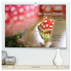 Ein weiser Freund - Kalender (hochwertiger Premium Wandkalender 2024 DIN A2 quer), Kunstdruck in Hochglanz - Forster, Valerie