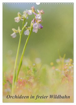 Orchideen in freier Wildbahn (Wandkalender 2024 DIN A3 hoch), CALVENDO Monatskalender
