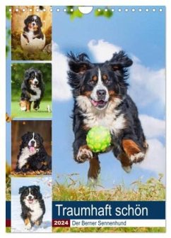 Traumhaft schön - Der Berner Sennenhund (Wandkalender 2024 DIN A4 hoch), CALVENDO Monatskalender