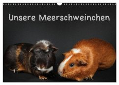 Unsere Meerschweinchen (Wandkalender 2024 DIN A3 quer), CALVENDO Monatskalender
