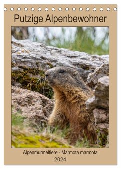 Putzige Alpenbewohner - Alpenmurmeltiere (Tischkalender 2024 DIN A5 hoch), CALVENDO Monatskalender