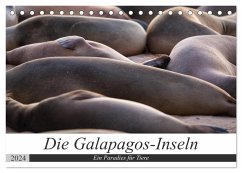 Galapagos-Inseln - Ein Paradies für Tiere (Tischkalender 2024 DIN A5 quer), CALVENDO Monatskalender