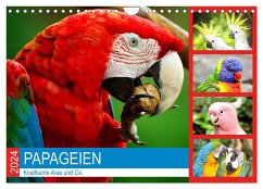 Papageien. Knallbunte Aras und Co. (Wandkalender 2024 DIN A4 quer), CALVENDO Monatskalender - Hurley, Rose