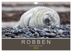 Robben auf der Helgoländer Düne (Wandkalender 2024 DIN A4 quer), CALVENDO Monatskalender