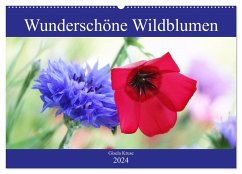 Wunderschöne Wildblumen (Wandkalender 2024 DIN A2 quer), CALVENDO Monatskalender