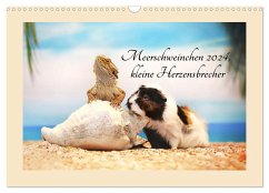 Meerschweinchen 2024, kleine Herzensbrecher (Wandkalender 2024 DIN A3 quer), CALVENDO Monatskalender