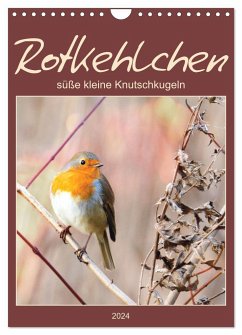 Rotkehlchen, süße kleine Knutschkugeln (Wandkalender 2024 DIN A4 hoch), CALVENDO Monatskalender - Löwer, Sabine