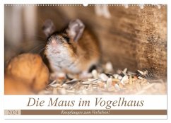Die Maus im Vogelhaus (Wandkalender 2024 DIN A2 quer), CALVENDO Monatskalender - Photography by Nicole Peters, Passion