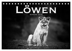 Löwen schwarz weiß (Tischkalender 2024 DIN A5 quer), CALVENDO Monatskalender