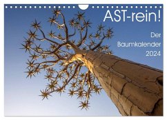 Astrein! - Der Baumkalender 2024 (Wandkalender 2024 DIN A4 quer), CALVENDO Monatskalender - van der Wiel, Irma