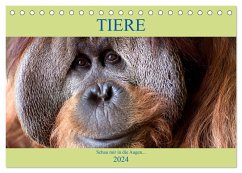 Tiere Schau mir in die Augen (Tischkalender 2024 DIN A5 quer), CALVENDO Monatskalender