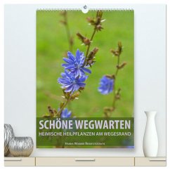 Schöne Wegwarten. Heimische Heilpflanzen am Wegesrand (hochwertiger Premium Wandkalender 2024 DIN A2 hoch), Kunstdruck in Hochglanz