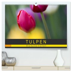 Tulpen - die bunte Vielfalt (hochwertiger Premium Wandkalender 2024 DIN A2 quer), Kunstdruck in Hochglanz