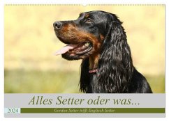 Alles Setter oder was (Wandkalender 2024 DIN A2 quer), CALVENDO Monatskalender - Bea Müller, Hundefotografie