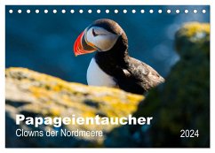 PAPAGEIENTAUCHER - Clowns der Nordmeere (Tischkalender 2024 DIN A5 quer), CALVENDO Monatskalender - Wagner, Nicole