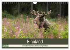 Finnland: eine tierische Entdeckungsreise (Wandkalender 2024 DIN A4 quer), CALVENDO Monatskalender - Wünsch, Alexandra