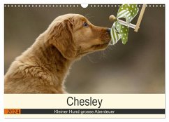 Chesley Kleiner Hund grosse Abenteuer (Wandkalender 2024 DIN A3 quer), CALVENDO Monatskalender