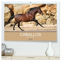 Caballos Spanische Pferde 2024 (hochwertiger Premium Wandkalender 2024 DIN A2 quer), Kunstdruck in Hochglanz