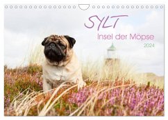 Sylt - Insel der Möpse (Wandkalender 2024 DIN A4 quer), CALVENDO Monatskalender