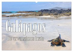 Galápagos - Die verwunschenen Inseln (Wandkalender 2024 DIN A2 quer), CALVENDO Monatskalender
