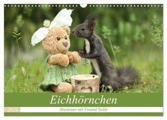 Eichhörnchen - Abenteuer mit Freund Teddy (Wandkalender 2024 DIN A3 quer), CALVENDO Monatskalender - Cerny, Birgit