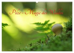 Pilze - Magie des Waldes (Wandkalender 2024 DIN A2 quer), CALVENDO Monatskalender - Klapp, Lutz